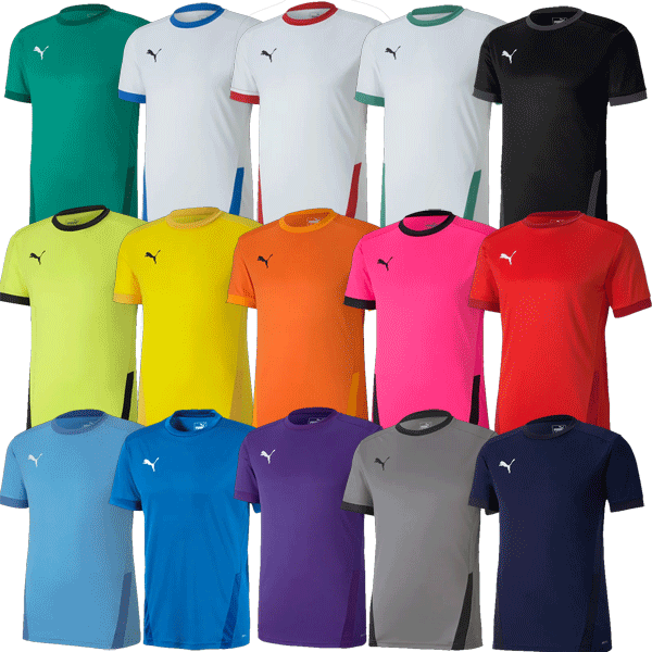   PUMA teamGOAL 23 Shirt